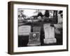 Hartsdale Canine Cemetery-Philip Gendreau-Framed Photographic Print