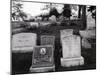 Hartsdale Canine Cemetery-Philip Gendreau-Mounted Photographic Print