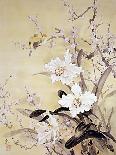 Spring Blossom I-Haruyo Morita-Framed Giclee Print