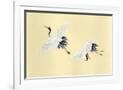 Gramercy White