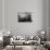 Harvard Grad Student Studies as His Desk, Ca. 1938-null-Photographic Print displayed on a wall