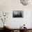 Harvard Grad Student Studies as His Desk, Ca. 1938-null-Mounted Photographic Print displayed on a wall