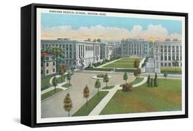 Harvard Medical School, Boston-null-Framed Stretched Canvas