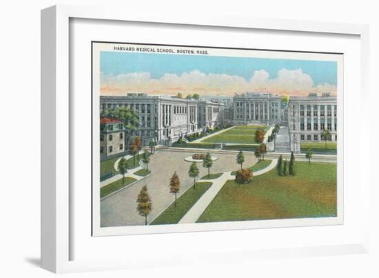 Harvard Medical School, Boston-null-Framed Premium Giclee Print