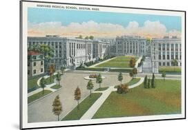 Harvard Medical School, Boston-null-Mounted Premium Giclee Print