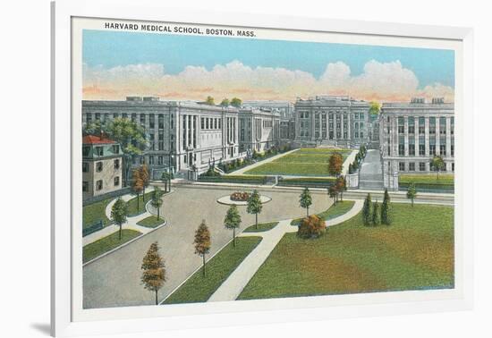 Harvard Medical School, Boston-null-Framed Art Print