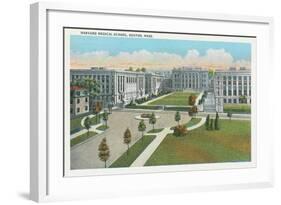 Harvard Medical School, Boston-null-Framed Art Print