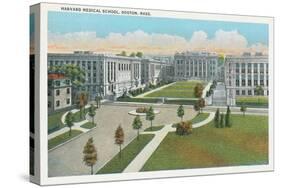 Harvard Medical School, Boston-null-Stretched Canvas
