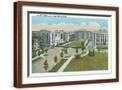 Brown Frame