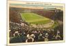 Harvard Stadium, Cambridge, Massachusetts-null-Mounted Art Print