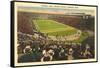 Harvard Stadium, Cambridge, Massachusetts-null-Framed Stretched Canvas