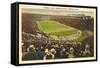 Harvard Stadium, Cambridge, Massachusetts-null-Framed Stretched Canvas