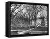 Harvard University, Cambridge, Massachusetts, USA, Late 19th or Early 20th Century-null-Framed Stretched Canvas