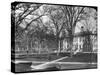 Harvard University, Cambridge, Massachusetts, USA, Late 19th or Early 20th Century-null-Stretched Canvas