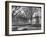 Harvard University, Cambridge, Massachusetts, USA, Late 19th or Early 20th Century-null-Framed Photographic Print