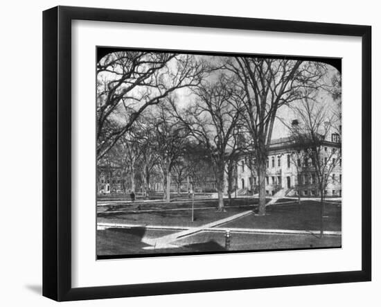 Harvard University, Cambridge, Massachusetts, USA, Late 19th or Early 20th Century-null-Framed Photographic Print