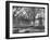 Harvard University, Cambridge, Massachusetts, USA, Late 19th or Early 20th Century-null-Framed Photographic Print