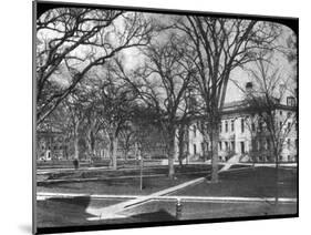 Harvard University, Cambridge, Massachusetts, USA, Late 19th or Early 20th Century-null-Mounted Photographic Print