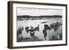 Harvard vs. Yale Rowing Crew Race Photograph - New London, CT-Lantern Press-Framed Art Print