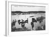 Harvard vs. Yale Rowing Crew Race Photograph - New London, CT-Lantern Press-Framed Art Print