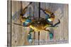 Harve De Grace, Maryland - Blue Crab on Dock-Lantern Press-Stretched Canvas