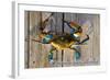 Harve De Grace, Maryland - Blue Crab on Dock-Lantern Press-Framed Art Print