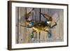 Harve De Grace, Maryland - Blue Crab on Dock-Lantern Press-Framed Art Print