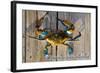 Harve De Grace, Maryland - Blue Crab on Dock-Lantern Press-Framed Art Print