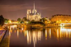 Notre Dame at Night-harvepino-Stretched Canvas