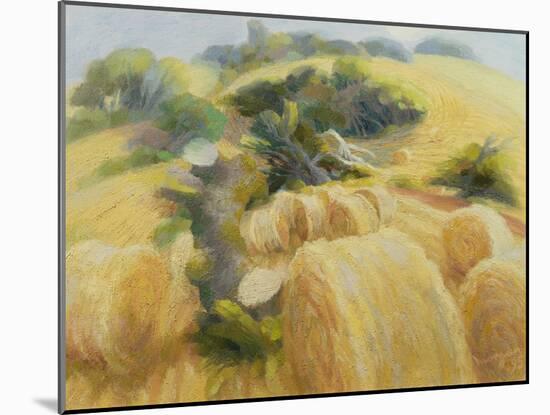 Harvest, 1995-Glyn Morgan-Mounted Giclee Print