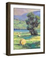 HARVEST #2-ALLAYN STEVENS-Framed Art Print