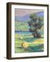 HARVEST #2-ALLAYN STEVENS-Framed Art Print