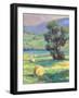 HARVEST #2-ALLAYN STEVENS-Framed Art Print