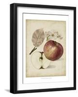 Harvest Apples II-Heinrich Pfeiffer-Framed Art Print