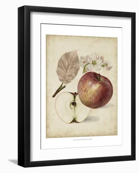 Harvest Apples II-Heinrich Pfeiffer-Framed Art Print