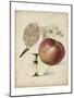 Harvest Apples II-Heinrich Pfeiffer-Mounted Art Print