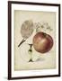 Harvest Apples II-Heinrich Pfeiffer-Framed Art Print