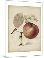 Harvest Apples II-Heinrich Pfeiffer-Mounted Art Print