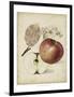 Harvest Apples II-Heinrich Pfeiffer-Framed Art Print