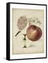 Harvest Apples II-Heinrich Pfeiffer-Framed Stretched Canvas