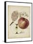 Harvest Apples II-Heinrich Pfeiffer-Framed Stretched Canvas