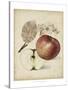 Harvest Apples II-Heinrich Pfeiffer-Stretched Canvas