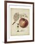 Harvest Apples II-Heinrich Pfeiffer-Framed Art Print