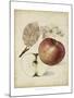 Harvest Apples II-Heinrich Pfeiffer-Mounted Art Print