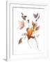 Harvest Cuttings II-Danhui Nai-Framed Art Print