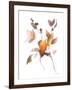 Harvest Cuttings II-Danhui Nai-Framed Art Print