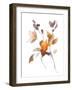 Harvest Cuttings II-Danhui Nai-Framed Art Print