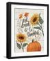 Harvest Delight II on White-Janelle Penner-Framed Art Print