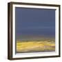 Harvest, Evening Light-Paul Evans-Framed Giclee Print