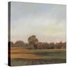 Harvest Fields-Megan Lightell-Stretched Canvas